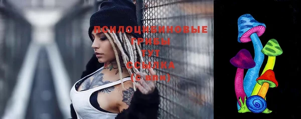 2c-b Абдулино