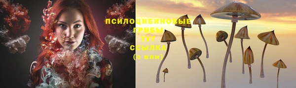 2c-b Абдулино